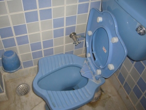 indian style toilet at Hotel Vansh Palace